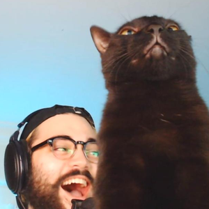 misdemeanours