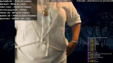 Witcher stream gets interrupted by cops outside