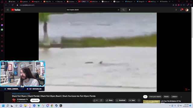 Just a Casual Shark Wednesday in Florida