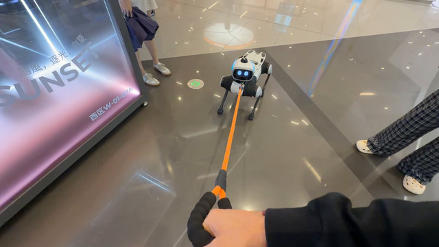 Jake takes his new E-dog for a stroll