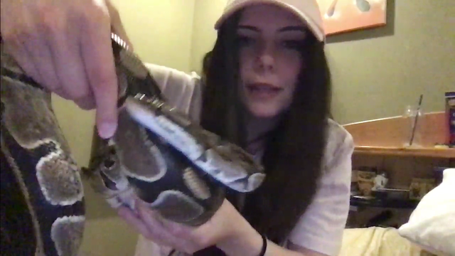 Snake girl's gorgeous python