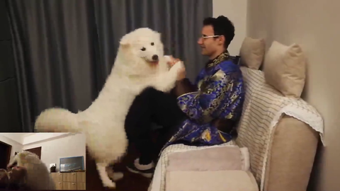 Small streamer living in mainland China tries to give a cuddle to his dog. Instead dog humps streamer while chinese TV implodes MonkaLul