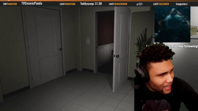 2000 viewer raid ruined by a jump scare