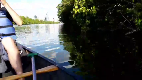 Soda encounters a croc whilst kayaking