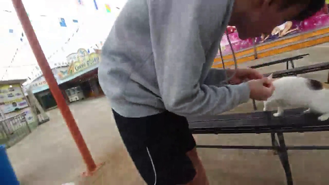 Jinny and Kevin find and feed a hungry cat family. widepeepoHappy
