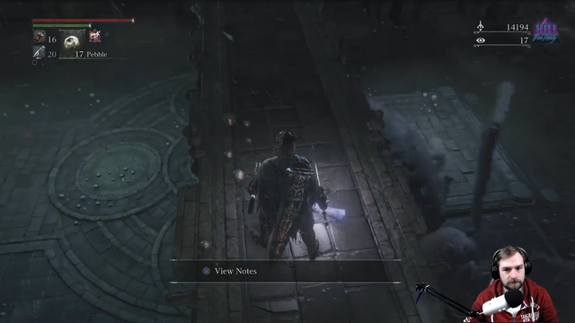 Bloodborne streamer tries to get a landing blow on Giant Spider