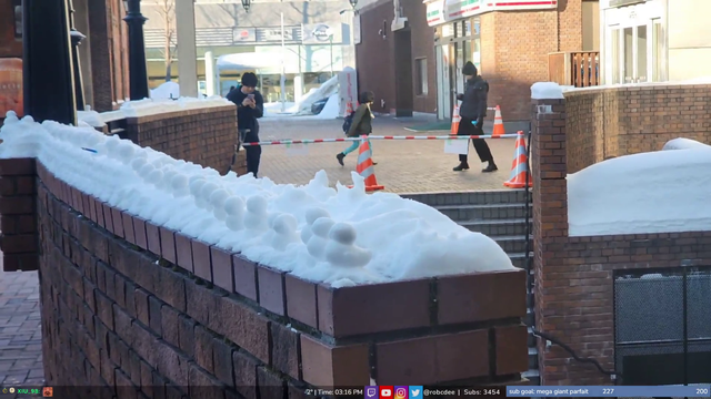 Ducks of Sapporo