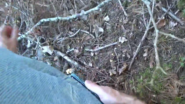 NymN finds some mushrooms
