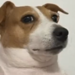 Applebrappy