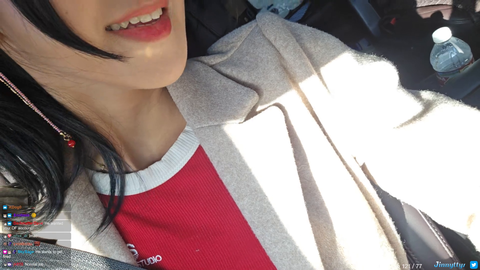 US customs Visa officer asked Jinny if her "Extraordinary skill" was doing Onlyfans