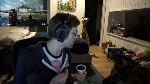 Soda tries to feed buddy chicken tendies