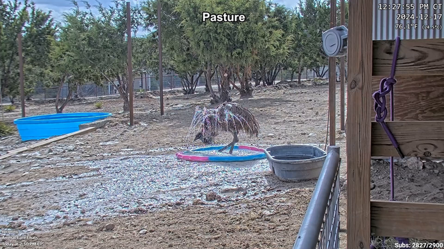 Dinosaur enjoys advancements in hydraulic technologies