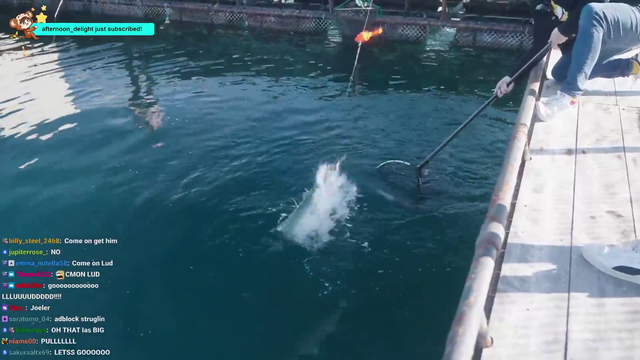 catch of the day