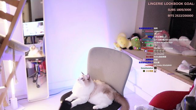 this chair is mine too