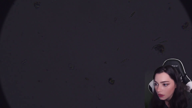 Faezaria gets an upclose look at a Waterbear and exclaims appropriately