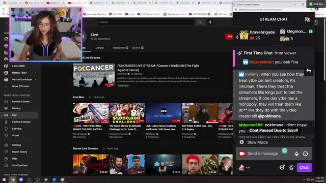 pokimane's chatter making a good point on youtube behavior