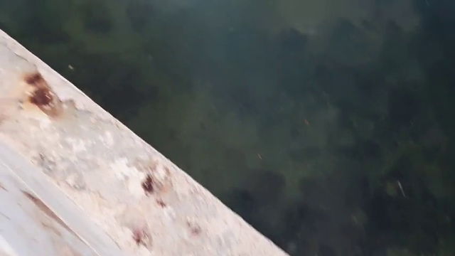 Greek finally finds his FishMoley in the lake