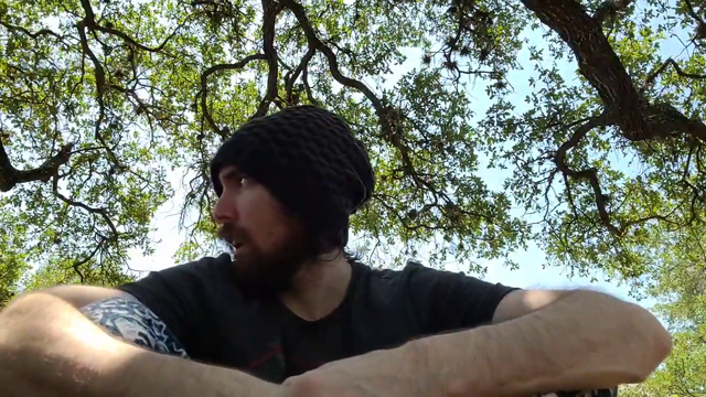 Zack talking to birds