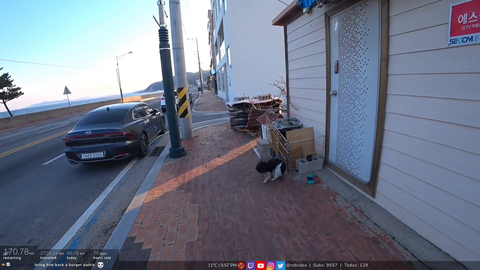 Rob meets a cute dog