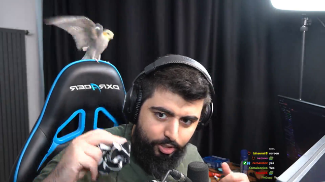 Birb tricks, singing jingle bells and playing peekabo