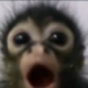 Jaakie