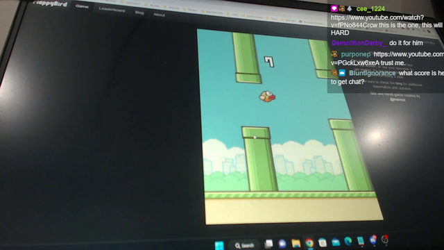 Man celebrates getting 20 points in Flappy Bird after 40 minutes