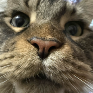 Luhrow