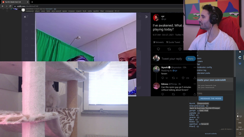 NymN's cat is not the smartest
