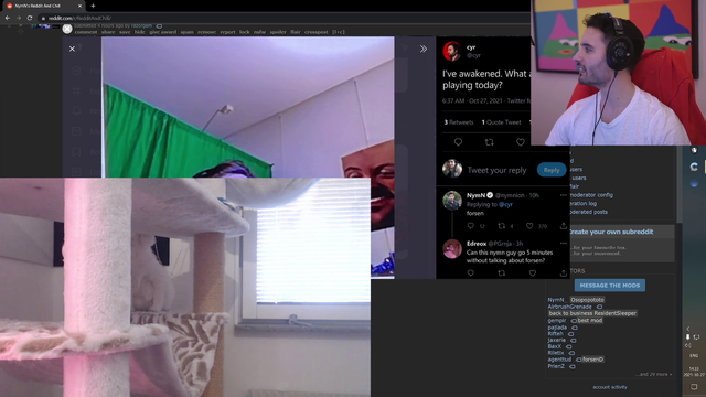 NymN's cat is not the smartest