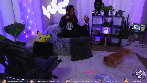 \dog gets a lil too excited chasing laser pointer