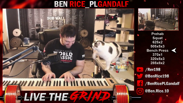 If I fits, I sits