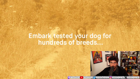 Azan finds out the breed results of his dog Kaya
