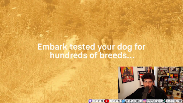 Azan finds out the breed results of his dog Kaya