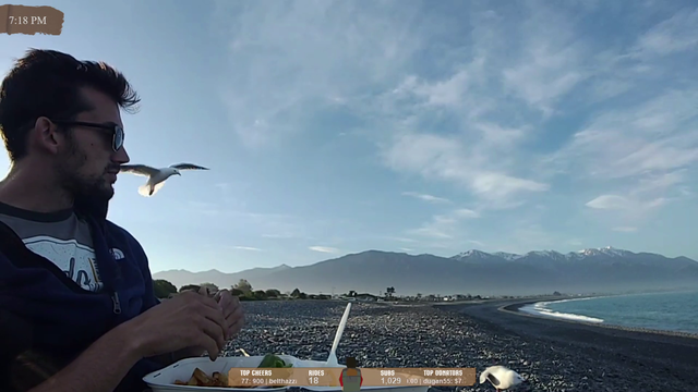 Hitch encounters Finding Nemo seagulls