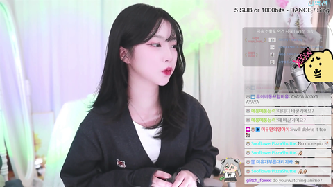 based korean streamer