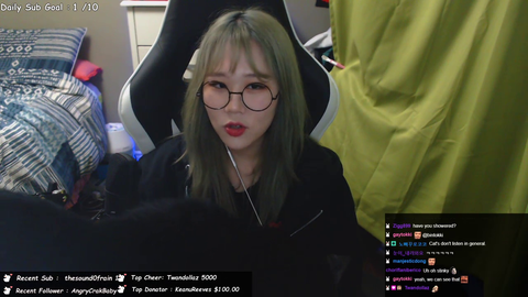 Cat interrupts the stream