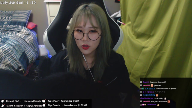 Cat interrupts the stream