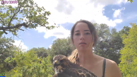 Maya releases another bird, PogU