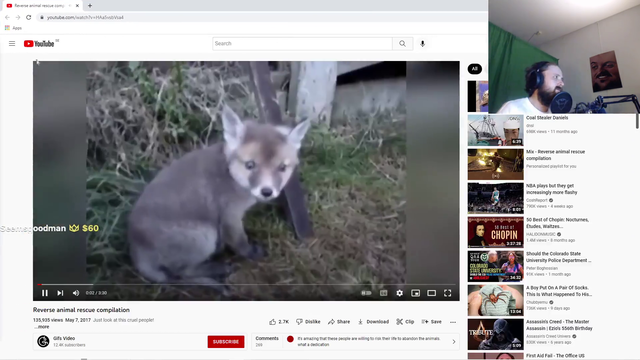 Reverse animal rescue compilation