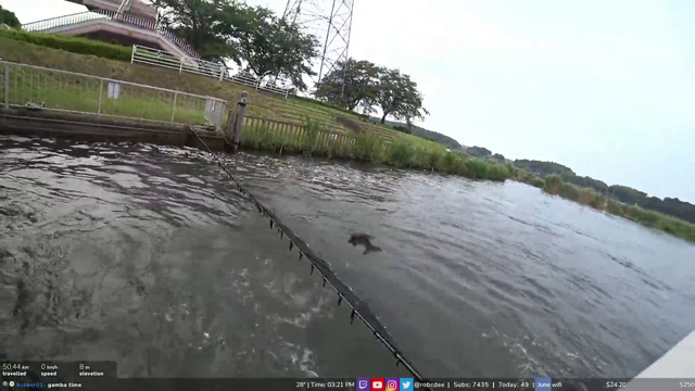 Fishes Seeking Some Freedom