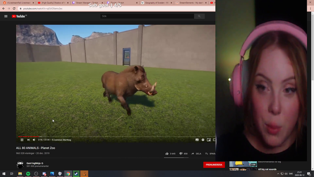 Swedish streamer tries her best