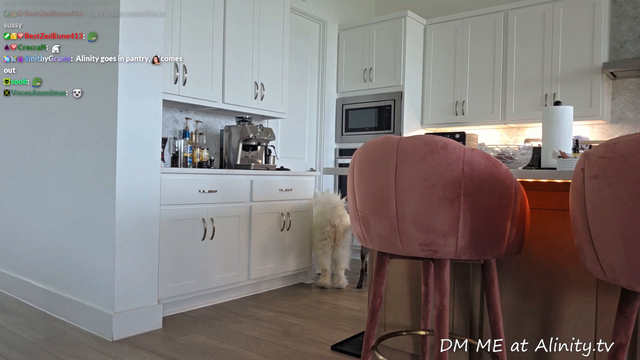 Alinity got a new dog