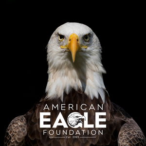 americaneaglefoundation