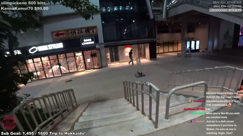 Japan IRL streamer misses the elevator