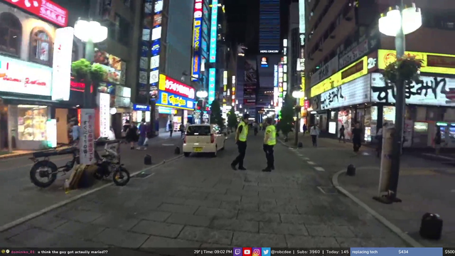 Annoying honking forces IRL streamer to end stream early. Sadge