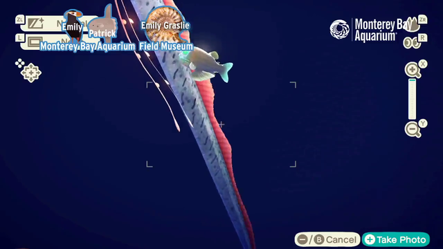 Monterey Bay Aquarium using Animal Crossing Aquarium to teach about fish while under quarantine