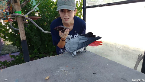 peepoTalk Parrot