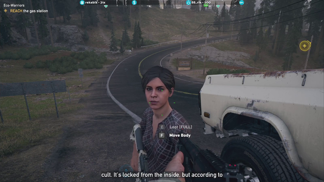 Far Cry 5 friendly AI