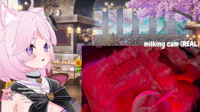 A completely normal Nyanners stream