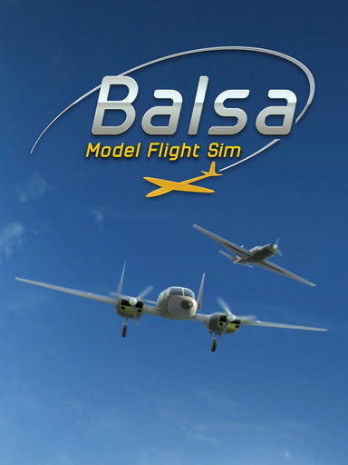 BALSA Model Flight Simulator